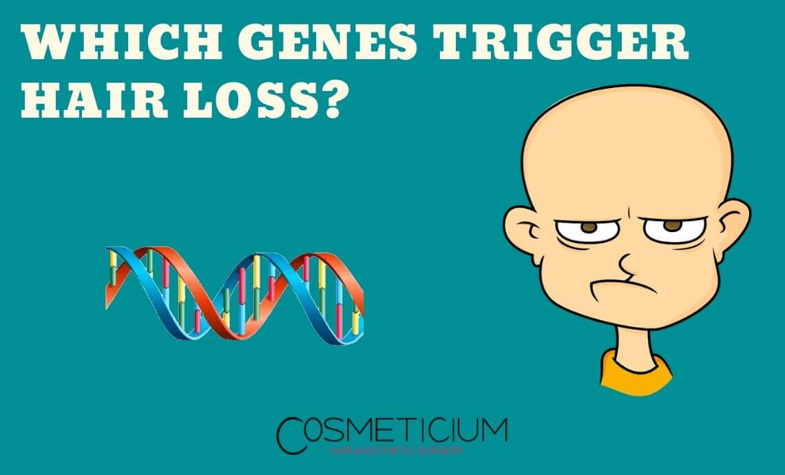 Genes Effects Hair Loss