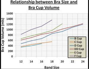 How Long after Breast Reduction Will I Know My Size? - Cosmeticium