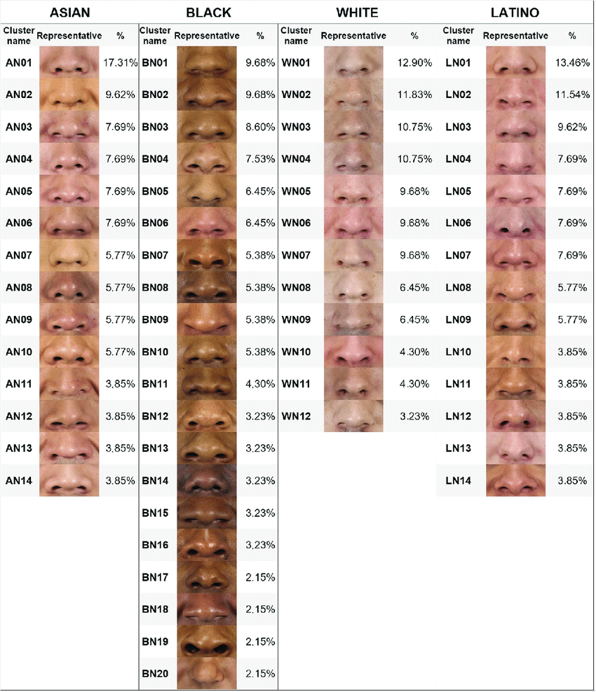 Nose Shape Ethnicity